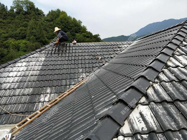 30元一平的樹脂瓦省錢又耐用？網友：吃飽沒事干，用一年就得換
