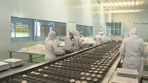 廈大山海情 食品研發與生產之路