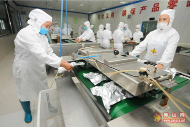 鳳凰于飛 碩果累累——食品開發與生產之路