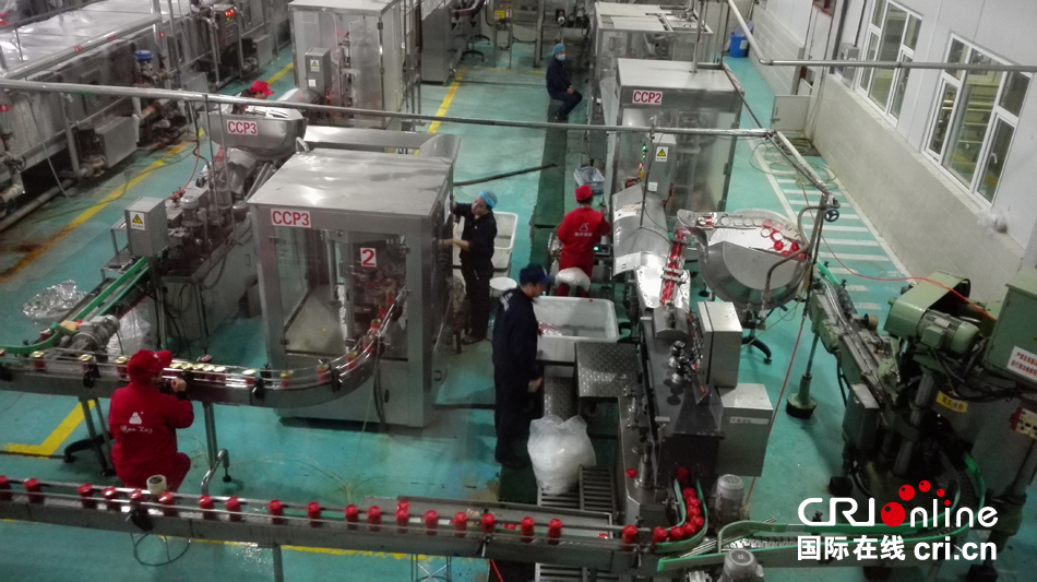 烏魯木齊經濟技術開發區 食品開發助力新疆對外貿易新突破