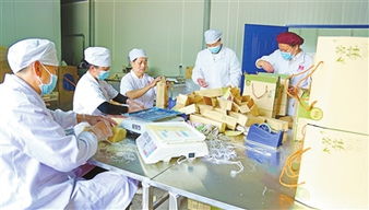 生態農業前景廣 食品開發助振興——贛南日報數字報聚焦綠色轉型新篇章