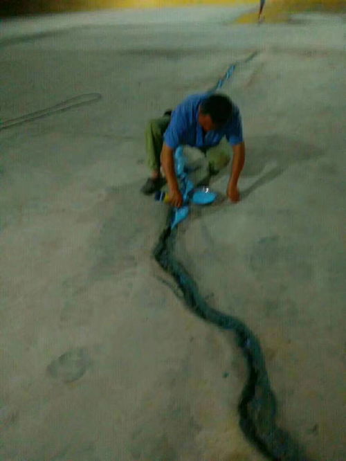 工廠耐磨地坪壞了不用愁，中建新合修補料助你快速修復